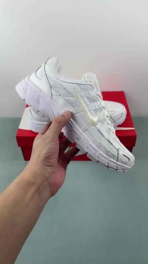Q Authentic Label Nike P-6000 Nike Retro Running Shoes CD6404-100
